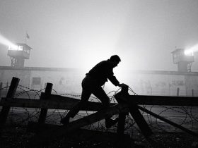Der Ruf der Freiheit: Neue Einblicke in Fluchtversuche und ihre Geschichten